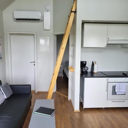 סלפוס Holar Countryside Cabin 1 מראה חיצוני תמונה