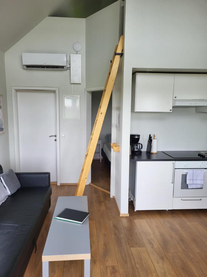 סלפוס Holar Countryside Cabin 1 מראה חיצוני תמונה